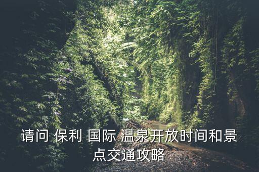保利國際溫泉 是天然,從鱷龍預訂入住客人的體驗如何?...